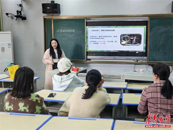 Z6尊龙凯时官方网站教案设计背影教案设计及板书衡阳县：2000余青年教师“竞擂”