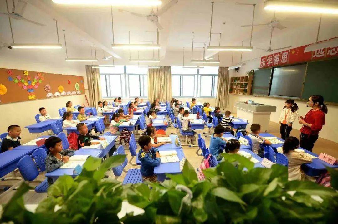 Z6尊龙，芜湖这些学生直接免除学杂费！